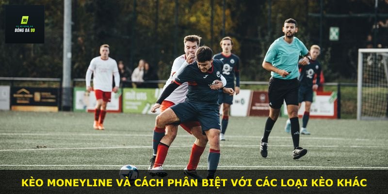 Kèo Moneyline và cách phân biệt với các loại kèo khác