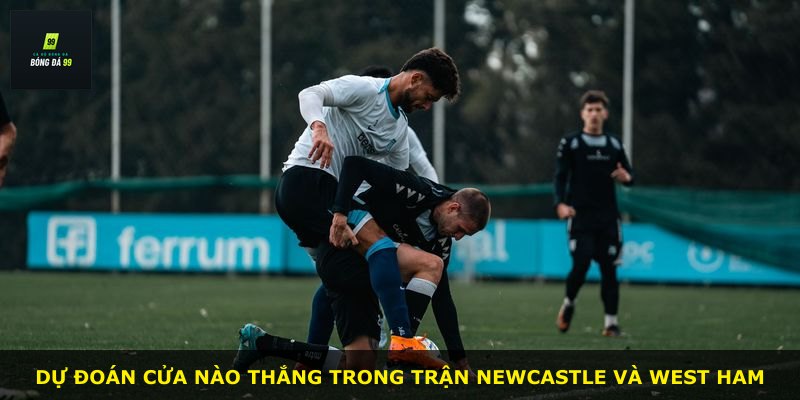 Dự đoán cửa nào thắng trong trận Newcastle và West Ham
